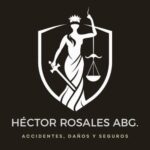accidentialegal.com favicon